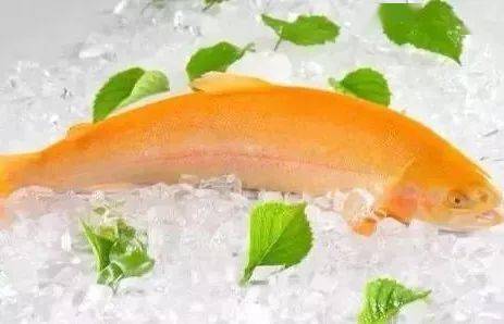 团团巴扎·新源味道 | 游那拉泉，品冷水鱼